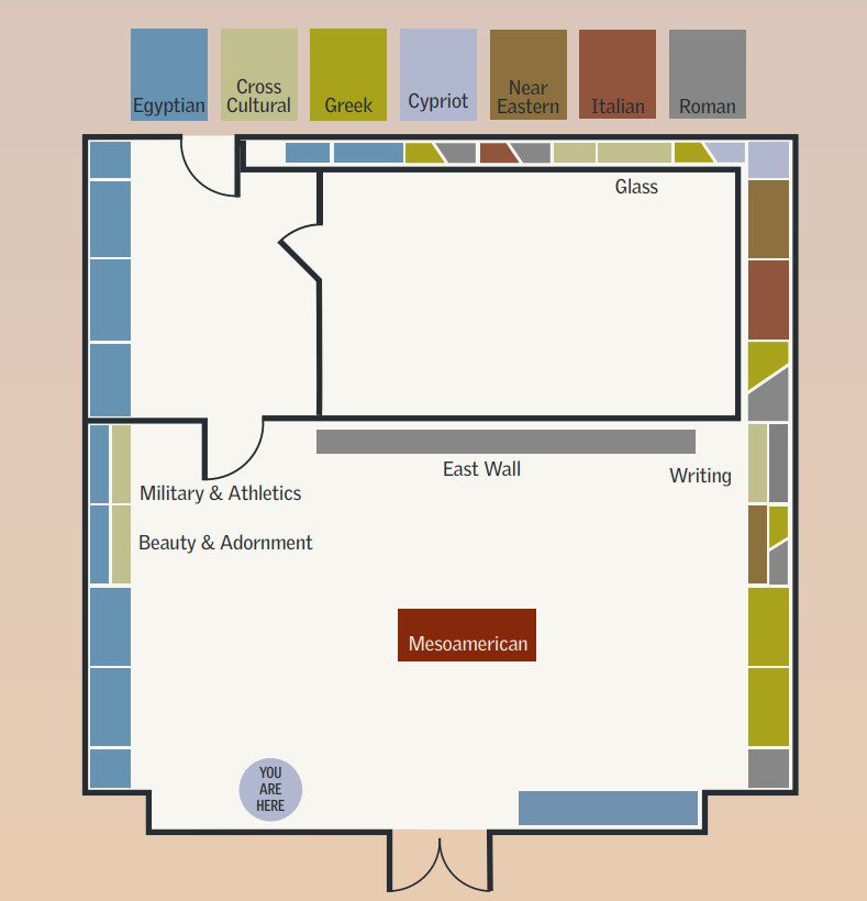 Schematic plan of the Archaeological Museum showing the layout of the exhibit cases and the location of doorways. A color-coded key indicates the culture(s) represented in each display case. 